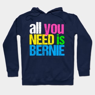 All You Need is Bernie Hoodie